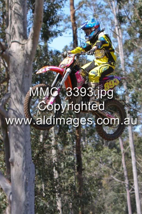 444x677 pixels (78K)